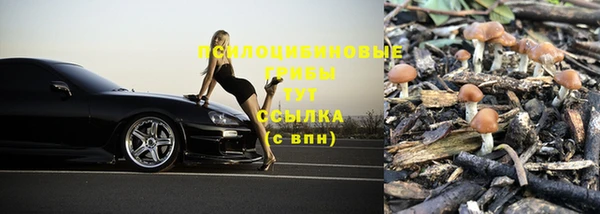 ГАЛЛЮЦИНОГЕННЫЕ ГРИБЫ Абаза