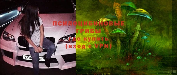 тгк Абинск