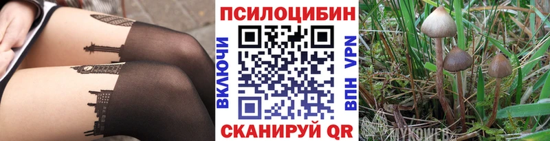 Галлюциногенные грибы ЛСД  Каргополь 
